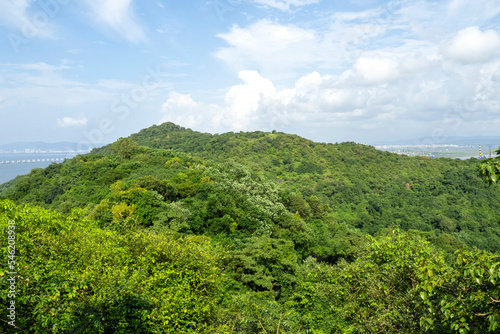 Green area, hills of the Sanjay Gandhi National Park or Borivali in Mumbai, India.