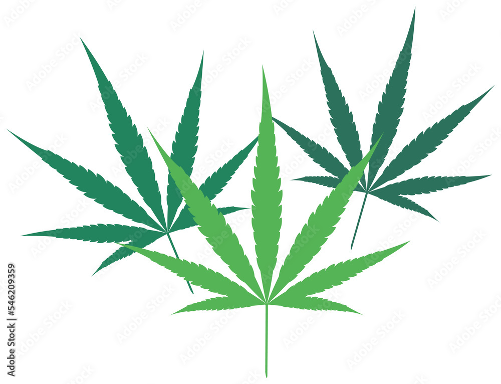 大麻の葉のイラスト 大麻の葉のイラスト