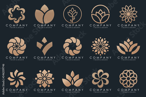 Abstract elegant flower rose logo icon set.
