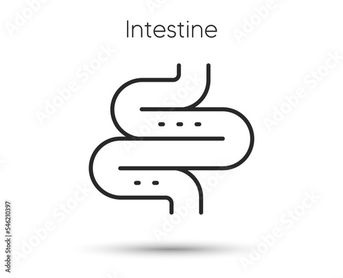Intestine line icon. Digestion sign. Health bowel symbol. Colonoscopy gut procedure. Illustration for web and mobile app. Line style intestines health icon. Editable stroke colon bowel. Vector