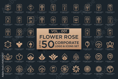 Abstract elegant flower rose logo icon set.