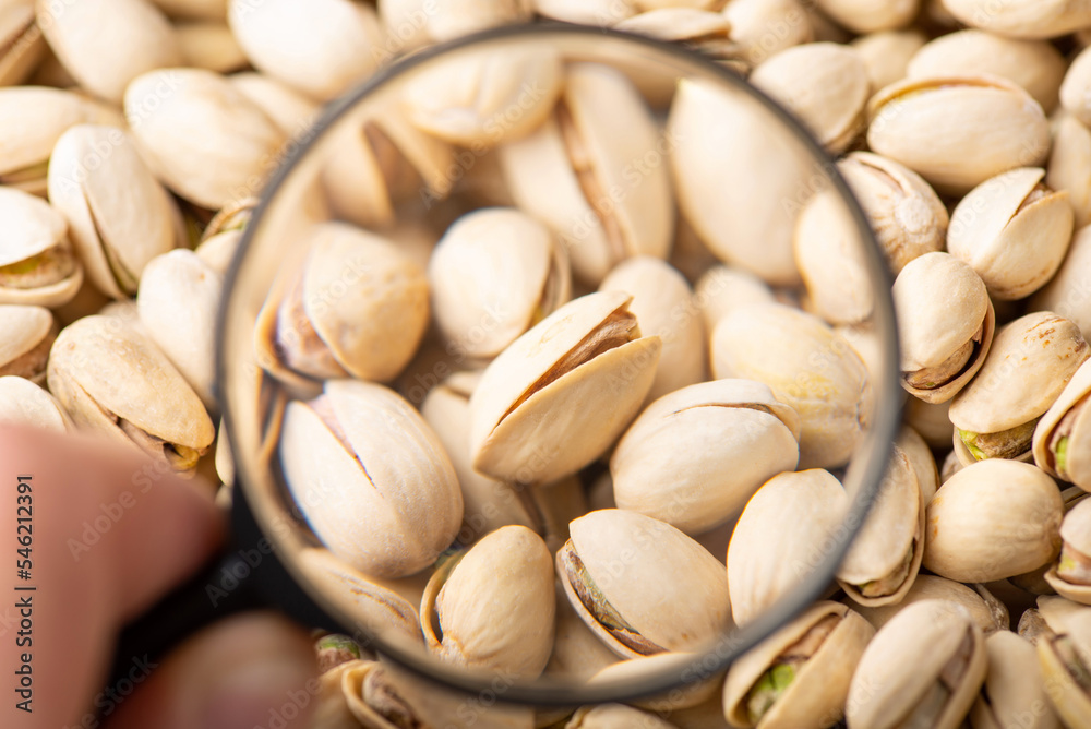 Magnifying glass on pistachios. Studying pistachios concept, its effect on people`s health Magnifying glass on pistachios. Studying pistachios concept, its effect on people`s health