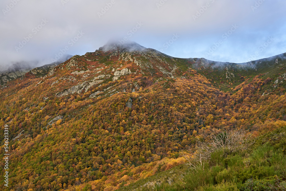 Otoño en la Sierra de Ancares (Castilla y León) Otoño en la Sierra de Ancares (Castilla y León)