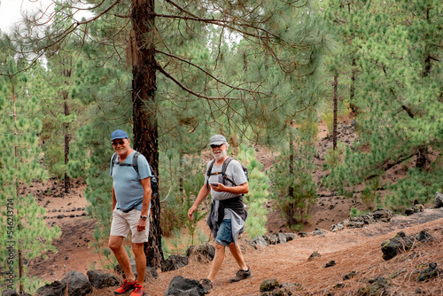 Old senior caucasian couple of men walking in the forest enjoying mountain excursion and nature. Pine woods