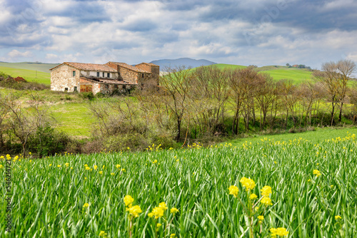 Old farm house in the Val d'Orcia in Tuscany, Italy.