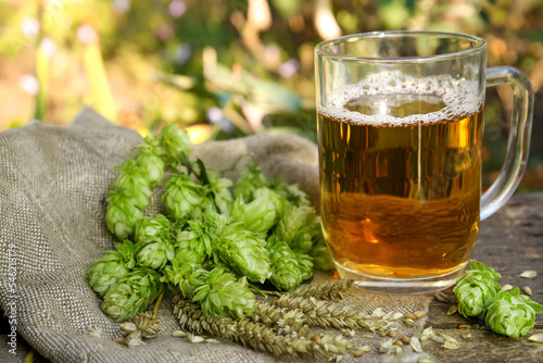 Mug with beer, fresh hops and ears of wheat on wooden table outdoors