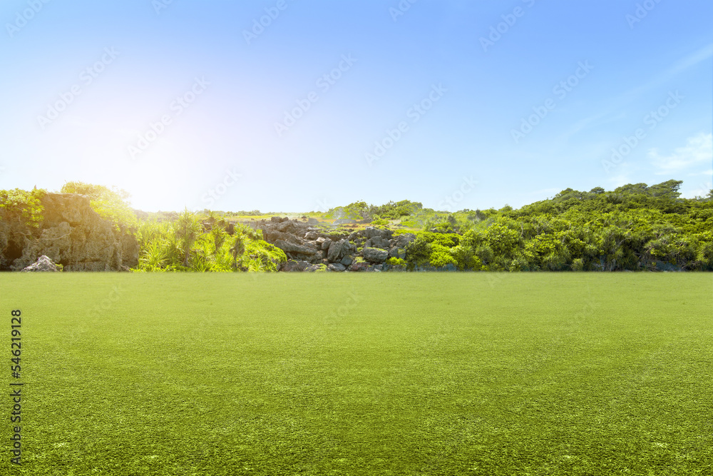 Obraz premium Meadow field