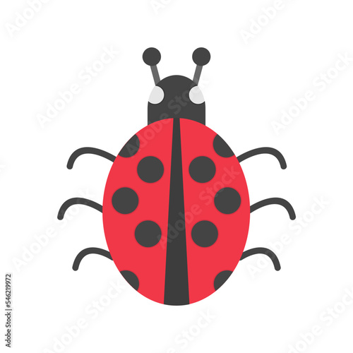 Ladybug Icon