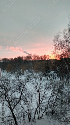 pink sunset in winter
