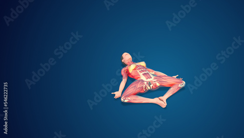 3D human Supta Baddha Konasana or Reclining Bound Angle variation Pose yoga pose on blue background © Cinefootage Visuals