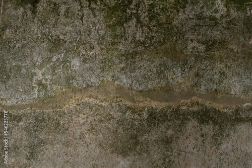 Old shabby wall with mould and stains
