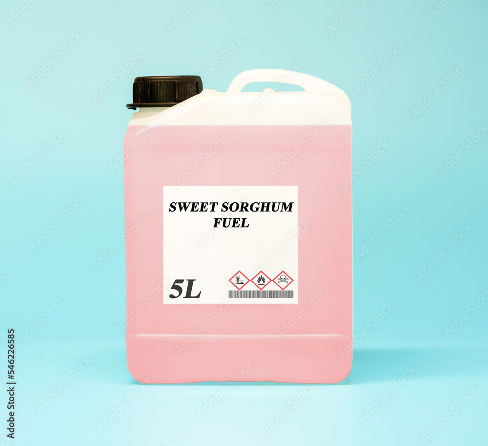 Biofuel in chemical lab in plastic canister Sweet Sorghum Fuel