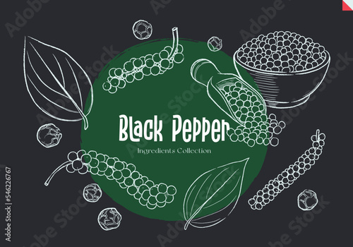Black Pepper, Chalk sketches, Ingredient Collection