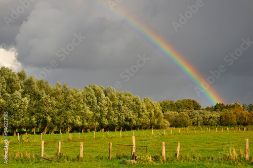 Regenbogen mit Bäumen