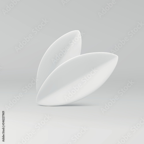 Two leaves white wedding floristic decor element foliage of plant tree 3d realistic vector