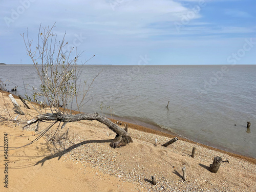 The shore of Lake Khanka on a clear autumn day. Russia, Primorsky Krai photo