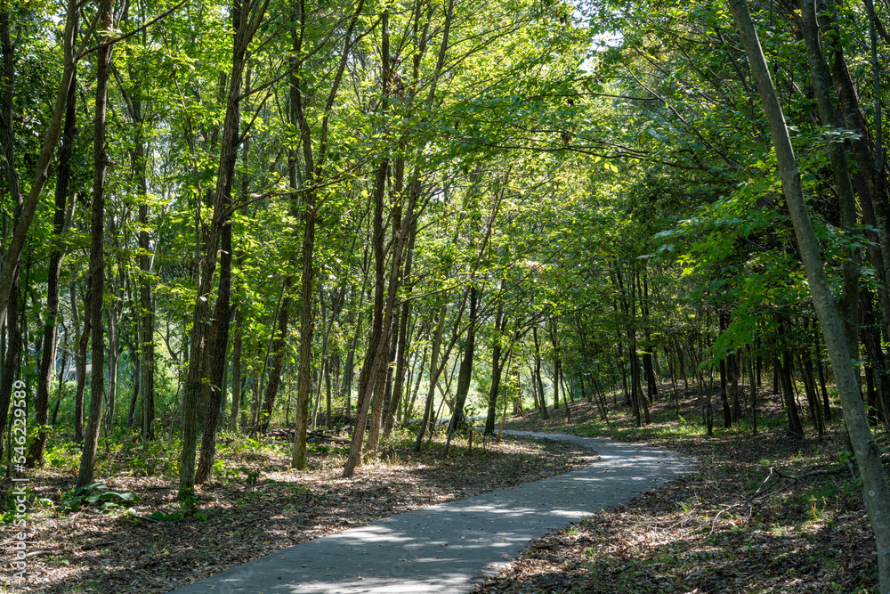 カーブする山道