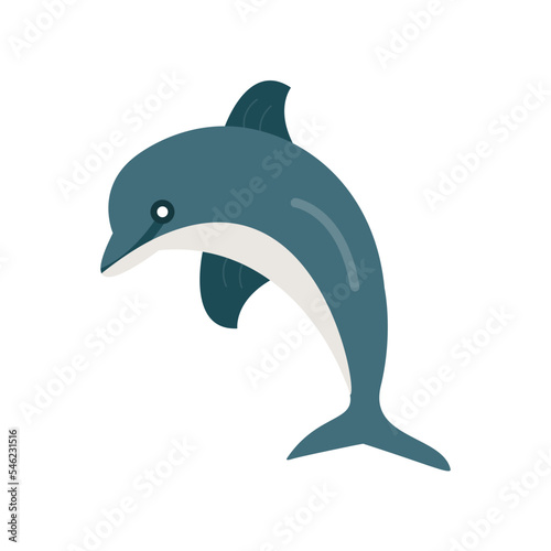 Dolphin Icon