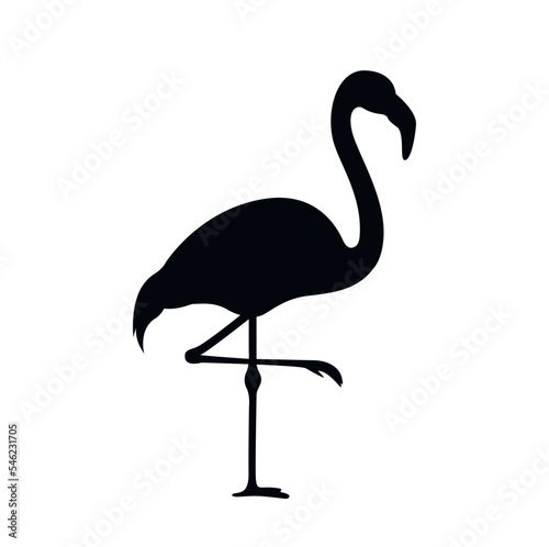 Silhouette of a flamingo standing on one leg