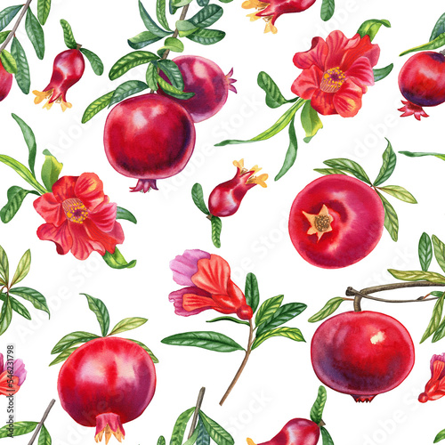 Pomegranates on a branch watercolor seamless pattern. Hand drawn realistic red fruits and flowers with leaves endless background for fabric and wallpaper. Tropical tree botanical illustration.