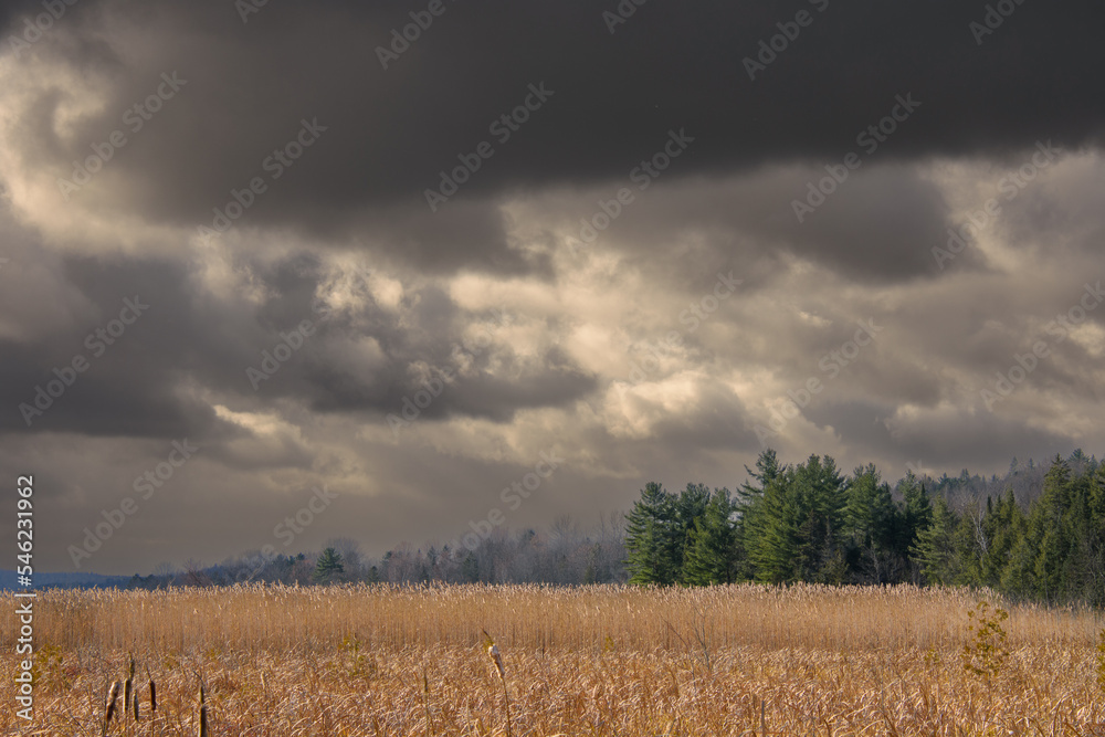 Obraz premium Autumn landscapes near a marsh in Canada in the province of Quebec