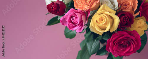 Bunch of colorful roses. Beautiful bouquet of roses in variety of colors on dusty pink background with copy space  banner size