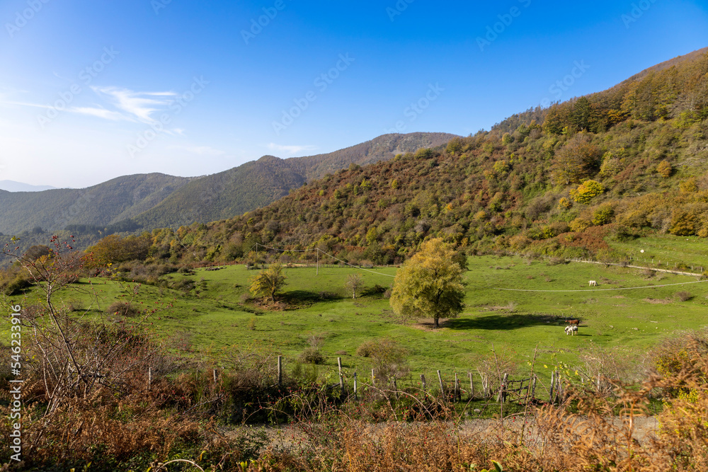 Fototapeta premium A country landscape in the Ligurian hinterland, in La Spezia province, in autumn, Italy
