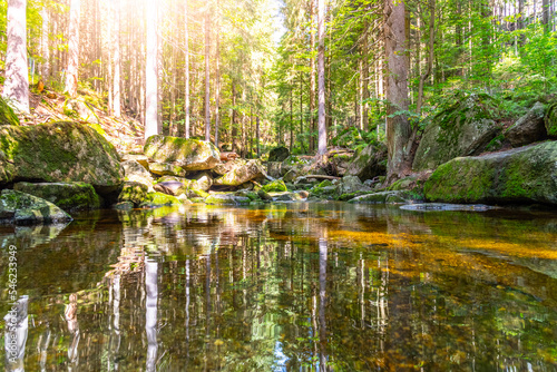Calm mountain creek of Jerice with granite boulders. Jizera Mountains, Czech republic