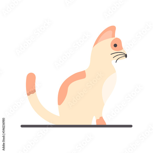 Cat Icon