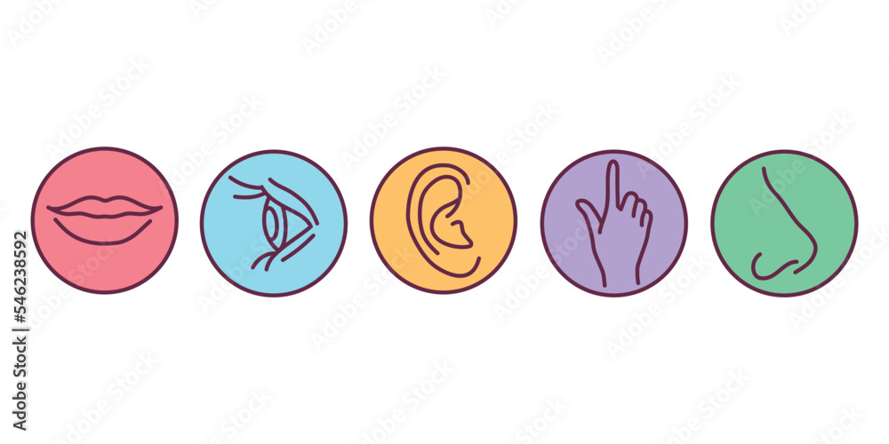 Five human senses color line icons set. Five human senses color line icons set.