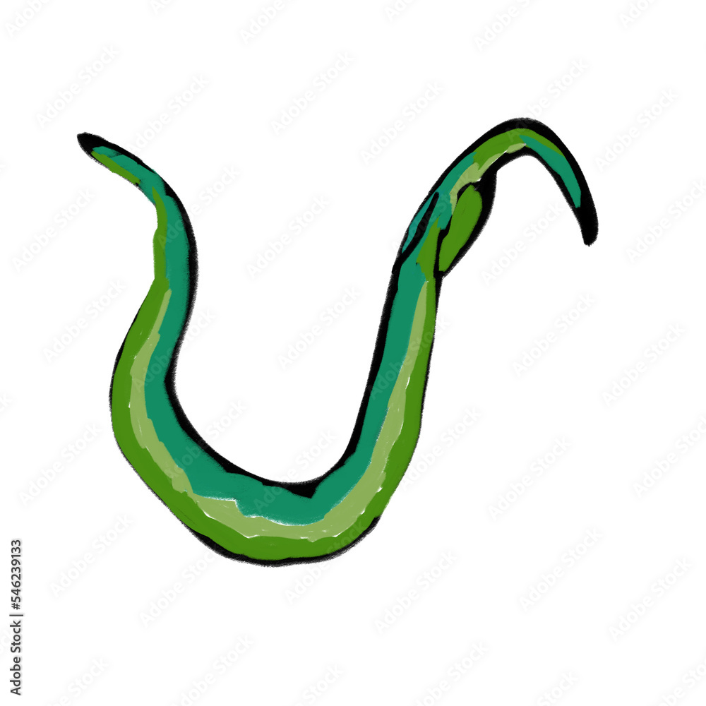 Green pepper Green pepper