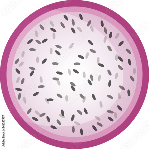 Tropical dragonfruit with slices cartoon vector illustration. Fresh natural fruit in flat style isolated on white background for restaurant menu design or organic market fruit banner.