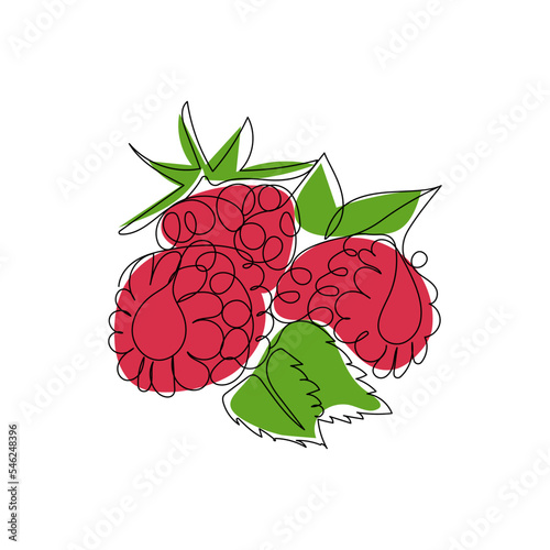 Raspberry berry fruit. Sweet, healthy, fresh berries. Continuous one line color vector illustration.