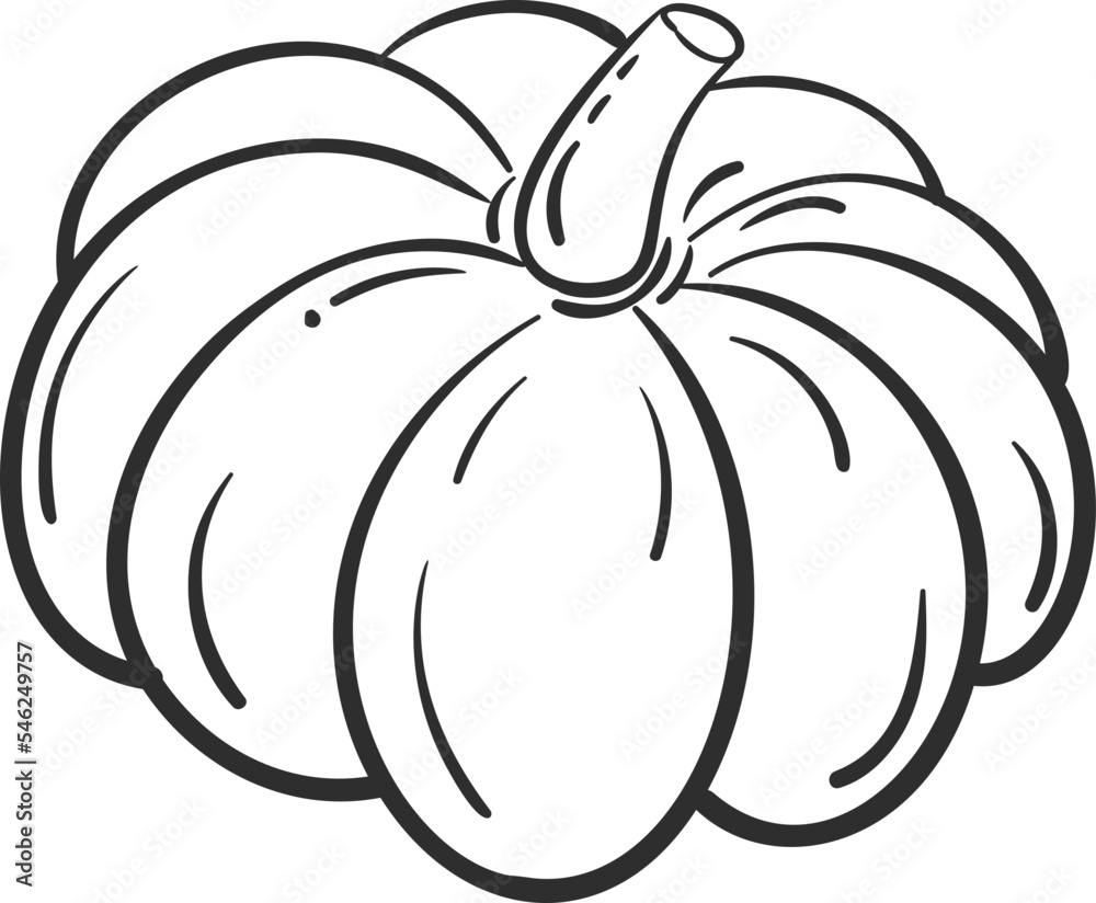 Sketch pumpkin vegetable icon vector illustration. Black line contour sketch vegetable icon on white background for restaurant menu vintage design Sketch pumpkin vegetable icon vector illustration. Black line contour sketch vegetable icon on white background for restaurant menu vintage design