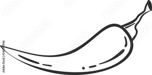 Sketch chili pepper vegetable icon vector illustration. Black line contour sketch vegetable icon on white background for restaurant menu vintage design