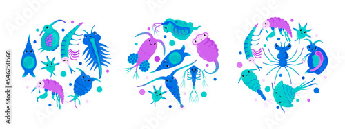 Circle elements with zooplankton sea microorganisms, vector icon isolated. photo