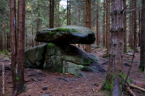 stone boulder a flat and wobbly remnant of glacial processes in a spruce forest. the wobbly stone resembles a dolmen or menhir in a horizontal position. the oldest natural swing