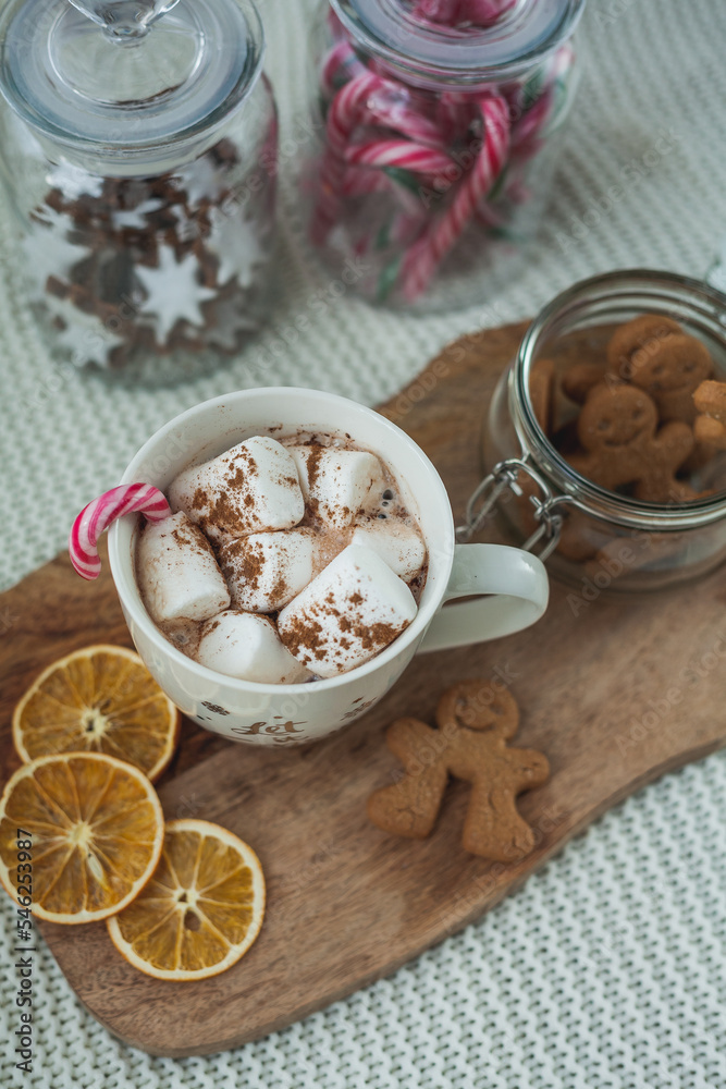 Hot cup of cocoa with marshmallows and gingerbread cookies. Christmas eco decorations. New Year. Winter holidays, gifts. Hot cup of cocoa with marshmallows and gingerbread cookies. Christmas eco decorations. New Year. Winter holidays, gifts.