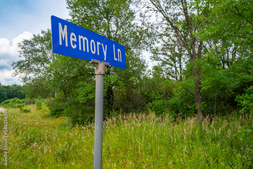 Memory Lane (blue street sign with white text) trees and grass in background
