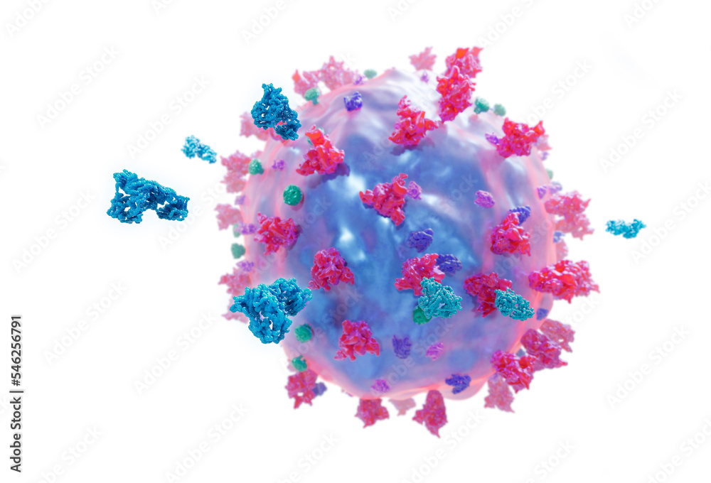 Antibodies around a covid 19 virus, immune system reacting to a corona virus. conceptual 3d illustration on white background.
