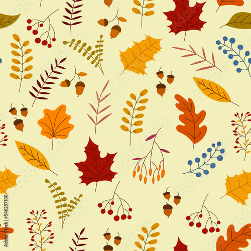 Autumn seamless pattern with berry, plants, leaves, acorns. Charming autumn pattern. Seamless pattern on an autumn theme. Hand drawn. Vector illustration
