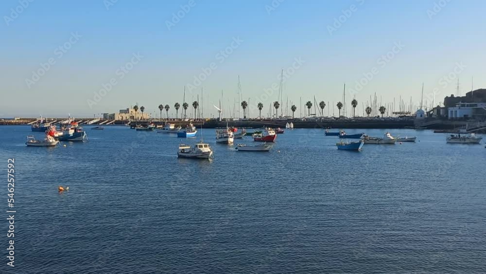 Cascais Marina, a beautiful space to see fishing boats and sailboats, the palm trees in the other dip the calm and blue water of the sea, beautiful video postcard Cascais Marina, a beautiful space to see fishing boats and sailboats, the palm trees in the other dip the calm and blue water of the sea, beautiful video postcard