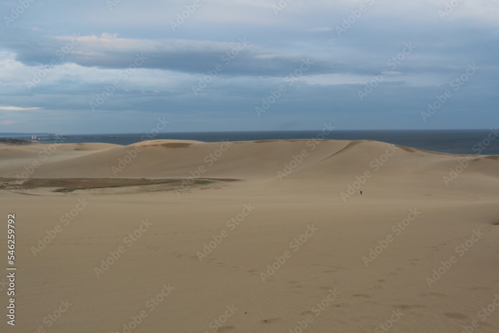 夜明けの鳥取砂丘 Tottori sand dunes at dawn Japan
