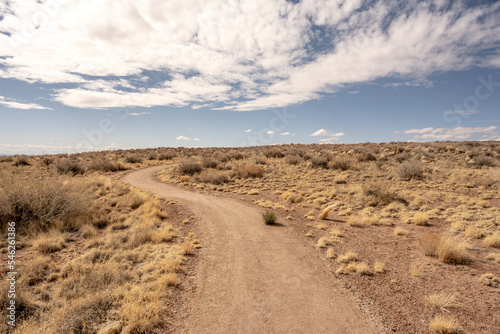 Tawa Trail Heading Uphill In Petrified Forest