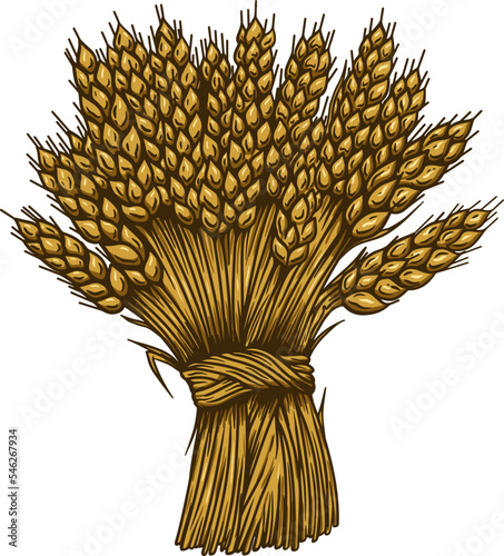 Illustration of wheat sheaf in engraving style. Design element for card, banner, menu. Vector illustration