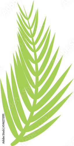 Oil palm leaf icon cartoon vector. Corn tree. Palm tree