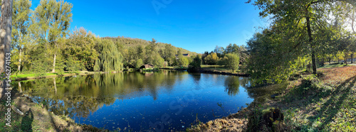 Beautiful landscape with water, forest and trees in autumn as a panorama
