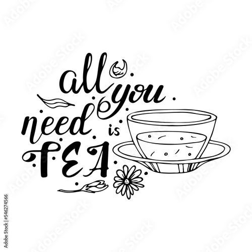 handwritten typography poster with drinks phrase in it. Vector calligraphy quote with tea ceremony. Hand drawn doodle ink on white isolated background.
