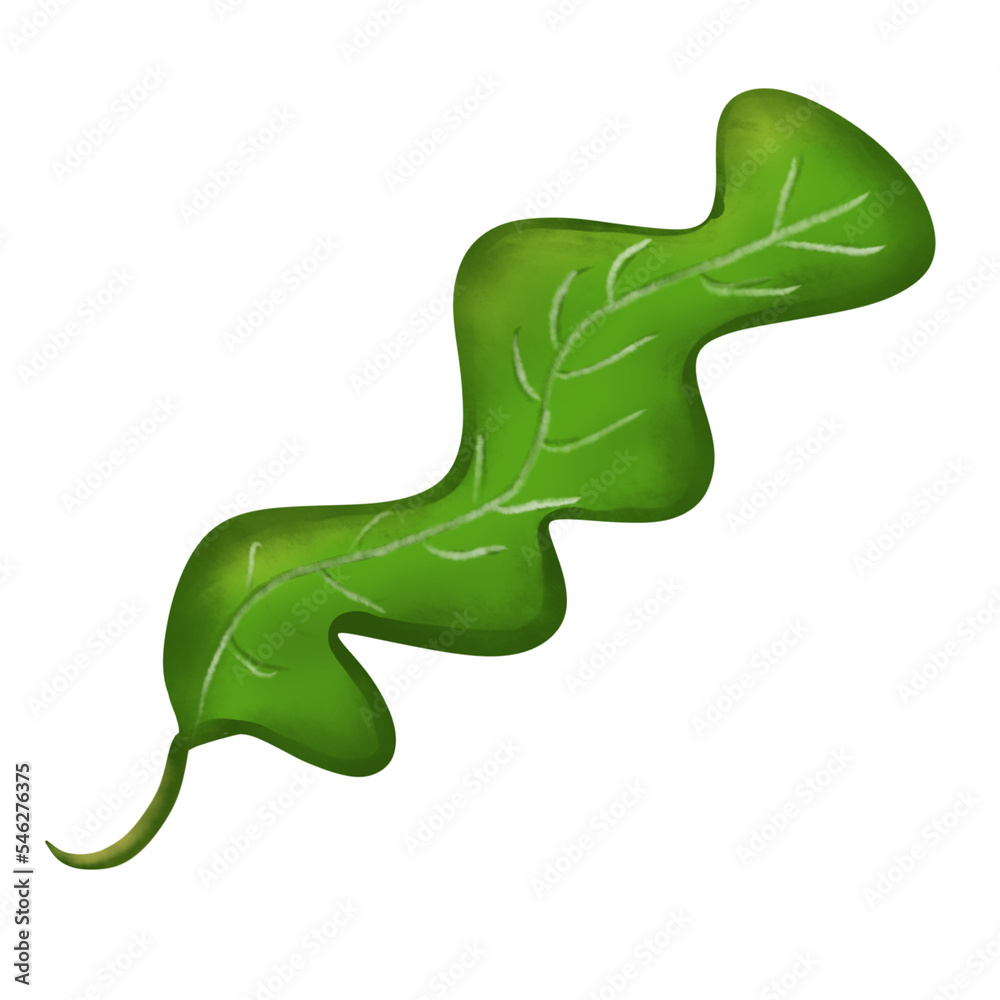 leaf watercolor element leaf watercolor element
