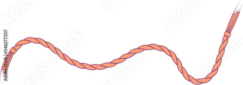 Aesthetic rope line ornament